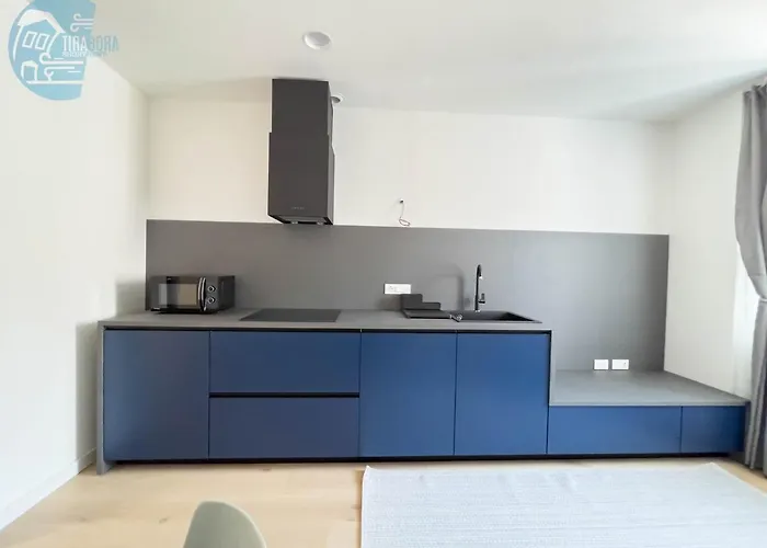 Slataper 19 Tirabora Short Rent * Trieste